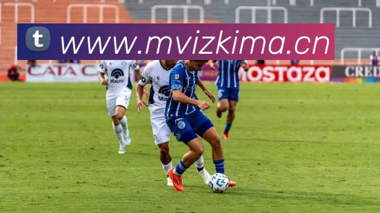 云开app官网入口网页版APP 封面图